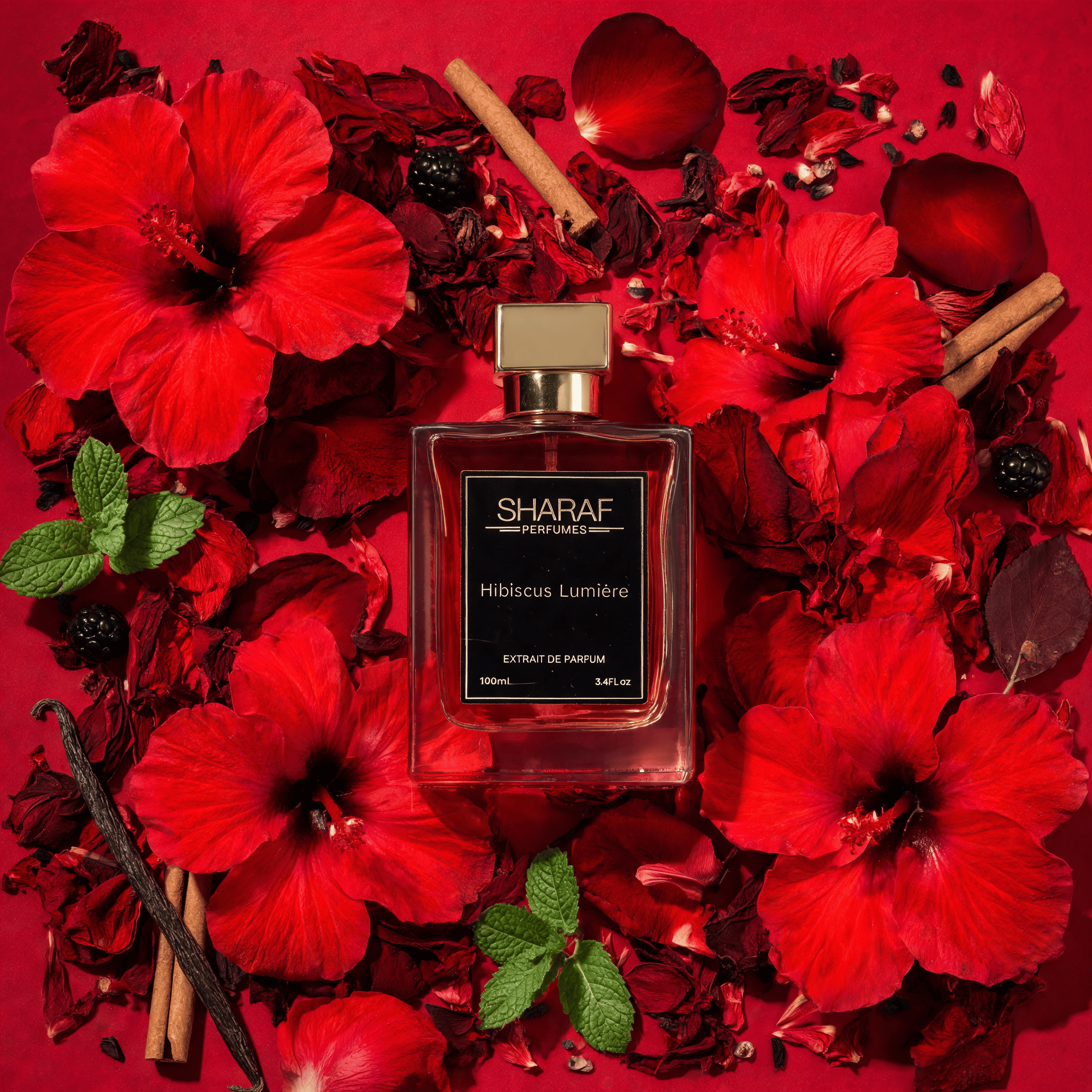 Hibiscus Lumeire